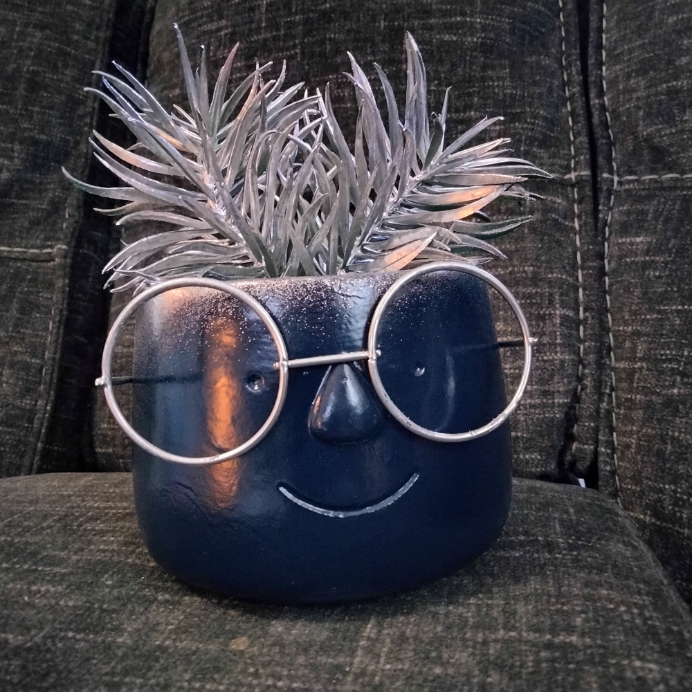 Cute Silver Succulent in Blue Face Pot with glasses